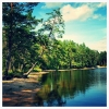 Bild från Rolstorpasjön av @benny_hull - #Rolstorpasjön#Rolstorp#Waggeryd