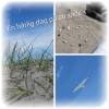 Bild från Badplatsen Västra Hamnen av @lillarummet - Hade en härlig dag på stranden igår och nu har vi checkat ut och  åker vidare....oklart vart vi övernattar ännu☺ kul att inte alltid planera vart man ska.  Trevlig lördag på er ❤
#västrahamnenmalmö #str