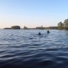 Bild från Rottnen av @xcmettecx - #kväll #sim #aftenbad #svømmetur #sø #rottnen #sjö #sommer #solnedgang #sweden