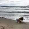 Bild från Åsa Havsbad - Sörvik / Vita Sand av @mrs_hemlig - Borde vara proppat på stranden å en +30 grader.. men stranden är tom och vågorna höga & vinden kall!!! Men på nåt vis härligt vid havet ändå 