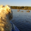 Sommaren är inte långt borta :)
Nu är det dags att söka sommarjobb i Bräcke kommun. Du som är född -98 eller -99 söker enklast via 

http://bracke.se/barnutbildning/feriepraktikforungdomar/ansokomferiepraktik.4.3e7737e914a17fa40d374fa.html

eller går till