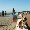 Bild från Gröniningen av @helmutnewtonthebeagle - Lovely Helsingborg!! #HelmutExplores the beach walk Gröningen/Fria Bad. The walk is about 4km long and leads you to a sand beach. This is humans favourite place on earth. It's 5 min stroll from HBG City!! 