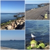 Bild från Järnvägsmännens Brygga av @stinasbild - Oj vilken vacker morgon ☀️#morgondopp #järnvägsmännen