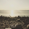 Bild från Ribban Beach av @mau5mattj - Time for a BBQ at the beach