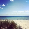 Bild av @animaldaydream - Beach walking to the sound of the amazing song 