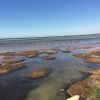 Bild från Stranden I Lomma av @evalenamariana - Mycket badgäster 
