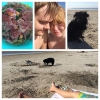 Bild från Lomma Hundbadplats av @fridaveronicaschultz - En dag på hundstranden. Poppy har visat sitt missnöje mot att vi ligger och solar genom att gräva upp halva stranden, haha. ☺️