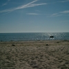 Bjärbybadet, Öland - 3 juli 2006