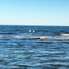 Bild från Sandbybadet av @chokladpinglan - #kvällsdopp för dom som inte är #badkrukor #Sandbybadet #Öland