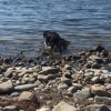 Bild från Strandpromenaden av @paulinaskoglund - Uppskattat efter allt flämtande idag. Riktig bad tjej.