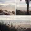 Bild från Ystad sandskog av @my_love78 - Kvällspromenad längs stranden...♡ Älskart♡