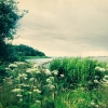 Bild från Kippholmen av @sajberblomma - #Fotosafari på #Hisingen 