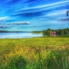 Bild av @nipo_naing - Location : Tavelsjön, Umeå, Sweden  #loves_landscape #fotofanatics_nature_ #igscandinavia  #bestnatureshot #BD_SHOTZ #tree_magic #loves_sweden #umeazing #nature_of_our_world #splendid_shotz #ptk_nature #tree_captures #rsa_nature #rsa