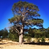 Bild från Seskarö Havsbad av @solitand - #seitenkaari #torniohaparanda #beachupnorth