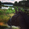 Bild från Rådasjön av @isabelle.persson - Lovely evening! 