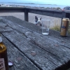 Bild av @lindstedtmaria - Kissen är ett fint sällskap vid bastun. Fast havsbadet skippade hon.