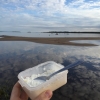 Bild av @peterparnes - En picknick i min ensamhet på stranden. Avslappnande.