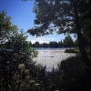 Bild av @fridalutt - #summer #summertime #view #walk #lake #sweden #nässjö #nature #instanature #lovely #amazing #stunning