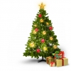 Vi vill tacka alla simhallsbesökare för det gångna året, och önska en God Jul och Gott nytt år! Välkommen åter!
MVH Personalen på Björndammens Simhall