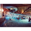 Bild från Stadsparksbadet av @chia_hello - 今晚的ᴘᴏᴏʟ ᴘᴀʀᴛʏ我不知道除了酒池肉林還能不能找到更貼切的詞了。

想像滿滿的歐洲帥哥和壯漢擠在一個小小的按摩池裡聊天和不時發出性感的笑，沒錯，我就一起害羞的擠在裡面☺️ ғʀᴇᴇ ʜᴏᴛ ᴅᴏɢ ᴀɴᴅ ᴅʀɪɴᴋs ᴘᴏᴏʟ ᴘᴀʀᴛʏ. ɪ ʟᴏᴠᴇ sᴡᴇᴅᴇɴ ʜᴇʟʟ ʏᴇᴀʜ✌