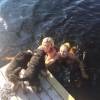 Bild från Pallviken av @christinawpersson - Kanske årets sista dopp ☀️