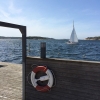 Bild av @katarinahjaltsgard - Kallbadhuset, Strömstad