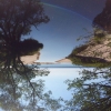 Bild av @izzzydavis - Took this morning on a beach walk on the southern coast of Sweden. Then, I flipped the photo upside down....