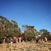 Bild från Ramsnäs av @namilotti - Kaoset när flera kusinfamiljer med barn och andra kusiner och några mostrar bestämmer sig för att grilla på stranden. 
