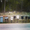 Bild från Havstoviken, Alnö av @kuma_wen - #intheforest#mailbox#onaisland#travel#hiking#beach#sundsvall#sweden#goodtime