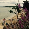 Bild från Rorumstrand, Sweden av @maxmammi - En dag på #stranden...#sommar #juli #july #Skåne #Hanöbukten #varmtivattnet #knäbäckshusen #knäbäckshusensstrand #rörumsstrand #östkusten #Simrishamn #badväder #vackert #beautiful #beach #kust #coast #blommor #