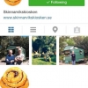 @skinnarvikskiosken på instagram 