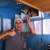 Who let the dogs out?