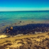 Bild från Vid Havet, Höllviken av @joonte88 - #summer#evening#friday#city#late#water#july#sky#skylovers#naturelovers#boat#noclouds#waves#seaweed#shore#instamoment#instagood#instaphoto#instatalent#instagramers#instadaily#picoftheday#photooftheday#landscape