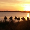 Bild från Vid Havet, Höllviken av @isegrisen - Lämnar ett regnigt Näset efter en intensiv helg och laddar upp en bild från klockan fem i morse. #grill #bad och #ljungen05 ☀
