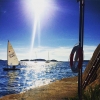 Bild från Nordreviken av @marcus.cohen - Kvällsbad! 