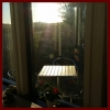 Härlig morgon, nybakat är på gång! Välkomna! #mäjensglass #glassgården