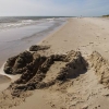 Bilder från Sandhammaren