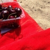 Bild av @pawsmeup - A relaxing day at the beach 