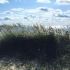 Bild från Trouville Stranden av @ricmob - Det blev en dag på stranden 