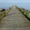 Hej alla vänner, stugägare och badgäster! Vilken underbar morgon, havet ligger alldeles blankt och tyst! Som vanligt har Strandcaféet öppet mellan 10 - 20. Varför inte njuta av en grillad Panini med något drickbart till! Hos oss kan ni låna böcker i vårt 