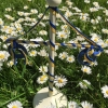 Vi firar som vanligt Midsommar på Abborreberg, hemgårdens folkdanslag bär upp midsommarstången i vanlig ordning  från parken, dansen börjar kl 14.00, varmt välkomna!