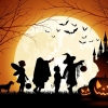 Snart är det Halloween, den 31 Oktober närmare bestämt.
Vi kommer att kunna beställa in Halloweentårtor i form av en pumpa, en hel orange stubbe eller stubbe i bit.

Är man intresserad av att köpa någon av dessa ska man höra av sig till oss senast den 24 