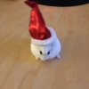 God jul önskar Alexandra med personal.