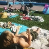 Bild från Utebadet Himlabadet av @tsponton - Junior ligger på Himlabadet och käka kakor och kolla brudar.