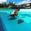 Bild från Himlabadet av @huggerahm - Äntligen lite pool