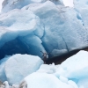 Bild från Hemavans Fjällcenter av @hemavansfjallcenter - Om du mot förmodan redan tröttnat på sommarvärmen i Hemavan, ta en dagstur till Norges näst största glaciär Svartisen för en kylig upplevelse. Garanterat svalare än Umeälvens badtemperatur! #riktiga