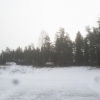 Hej! Så ser alltså pulkabacken ut nu på morgonen!  :-(
Några få åk till klarar den nog!
Våffelstugan dock är intet öppet i helgen!