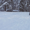 Bild från Sörsjöns Camping av @sjogrenjohn - ..tusen hål i nacken.. #snö #pulka #sörsjön #hopp