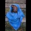 Bild från Silvköparens Camping I Sala av @solskimmer - Rokkit has been practicing his swimming today.