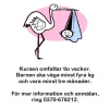 Ring och anmäl dig och din bebis till vårens babysim!